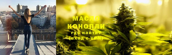 mix Богородицк