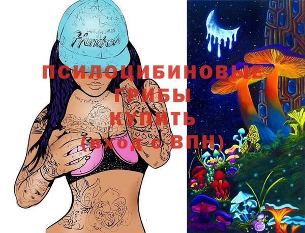 mix Богородицк