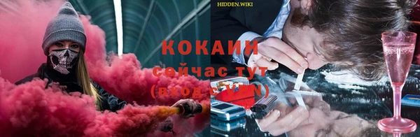 mix Богородицк
