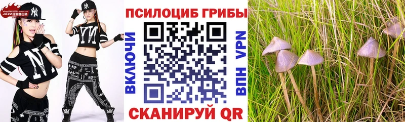 Псилоцибиновые грибы ЛСД  Купить  Новый Оскол 